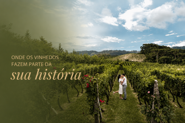 Entre Vinhas: Cenário para Fotos nos Vinhedos