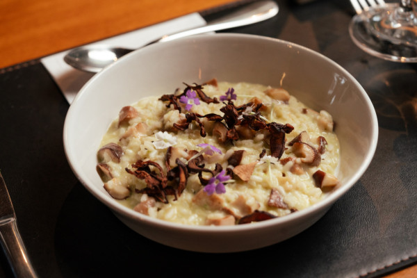 Experienza Campestre (Tour + Almoço)