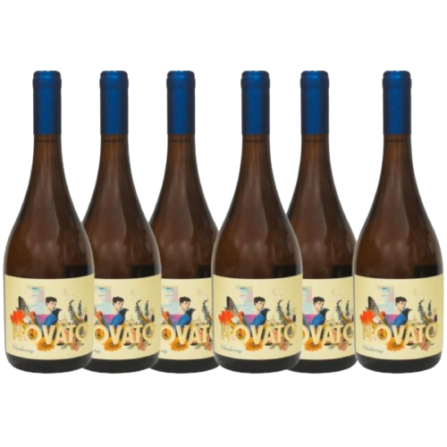 Combo 6 Unidades Novato Chardonnay 24