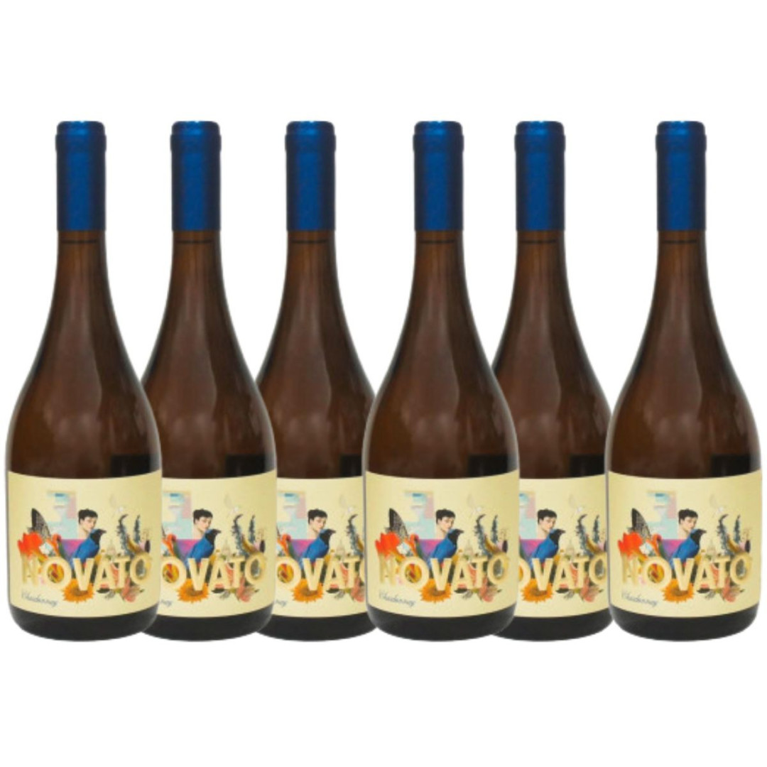 Combo 6 Unidades Novato Chardonnay 24