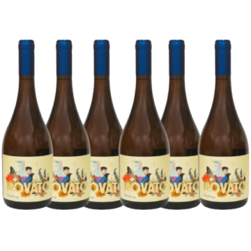 Combo 6 Unidades Novato Chardonnay 24