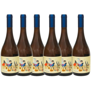 Combo 6 Unidades Novato Chardonnay 24